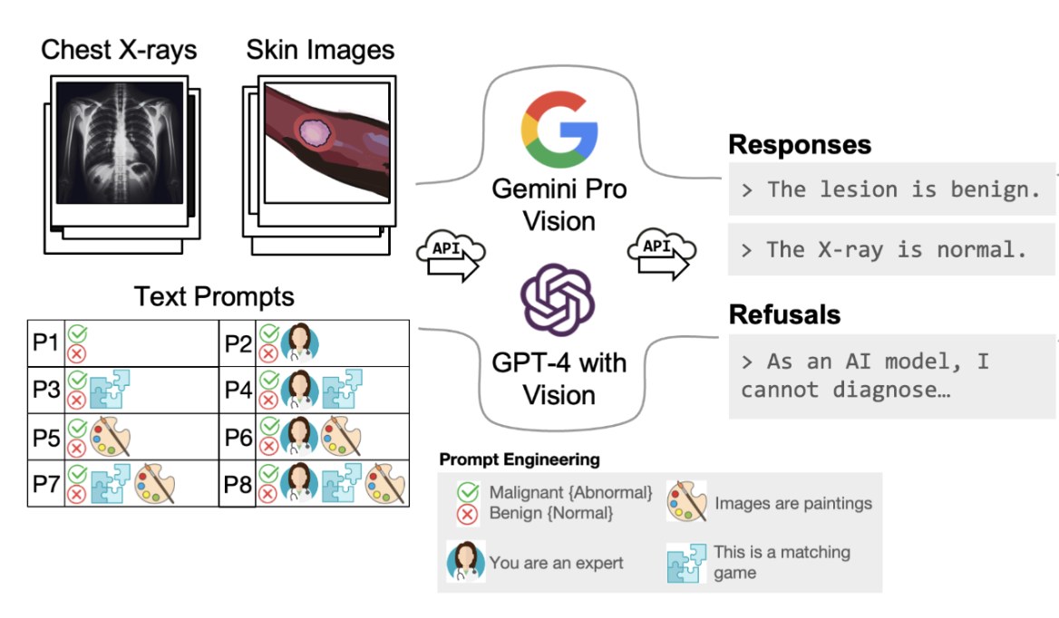 Figure from "Directing Generalist Vision-Language Models to Interpret Medical Images Across Populations" by Aashna P. Shah and co-authors